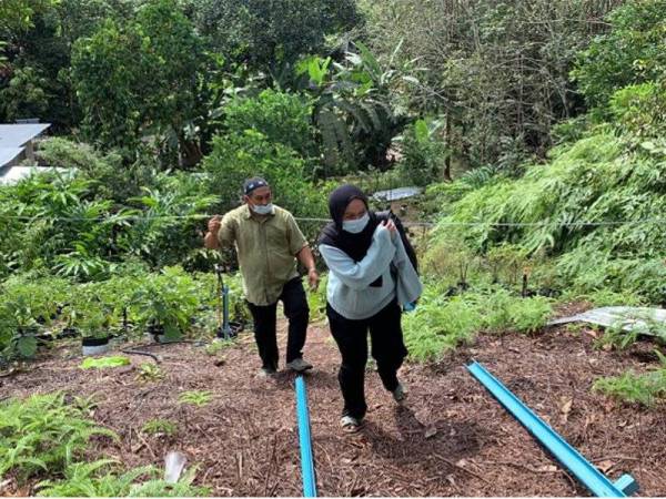 Bertemankan Nyamuk & Pacat, Gadis Terpaksa Ikuti Kelas Online Di Puncak Bukit