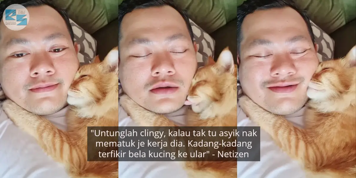 [VIDEO] “Sayang Abang Tak?” – Respon Manja Kucing Oyen Ini Buat Ramai Cemburu