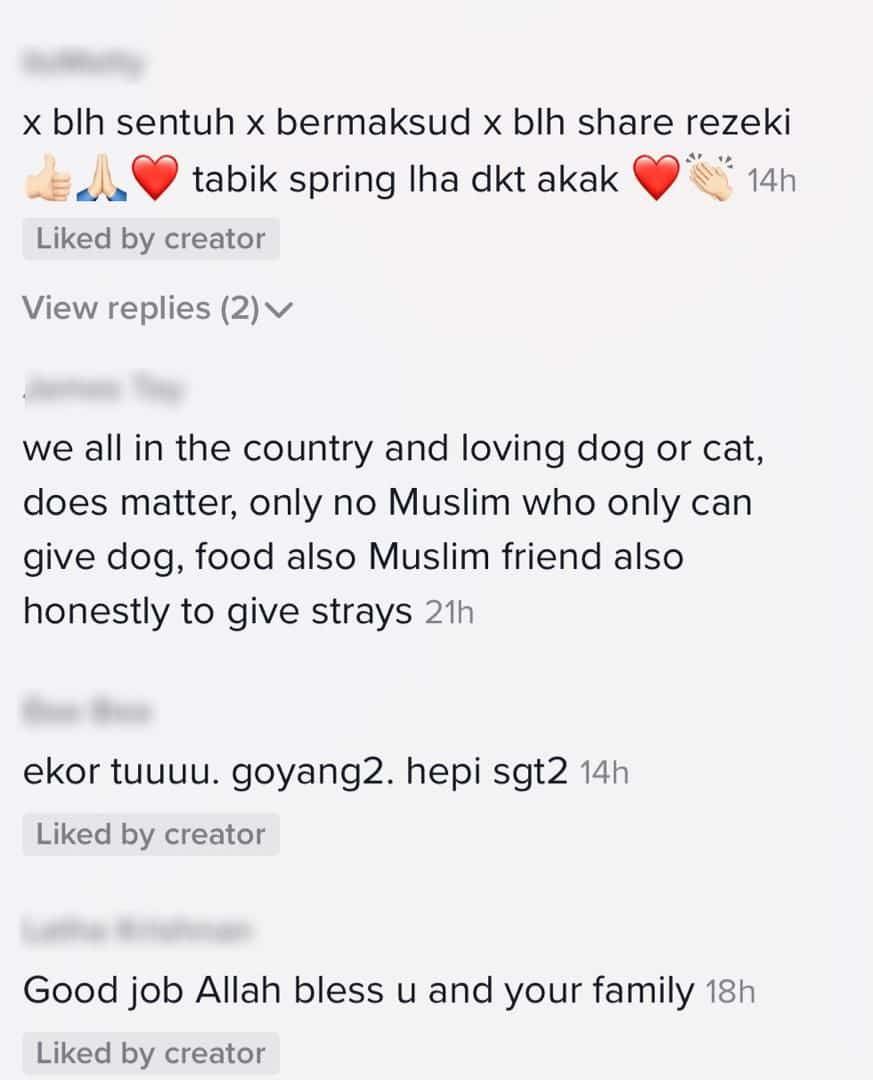 [VIDEO] Ekor Goyang Tanda Happy, Gadis Beri Seketul Ayam Untuk Setiap Anjing