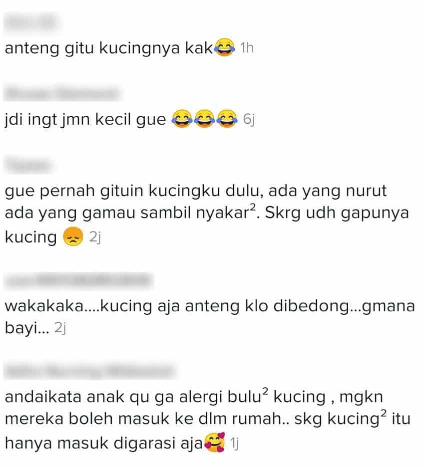 [VIDEO] Nasib Dapat Tuan Single, Muka ‘Si Bulus’ Pasrah Kena Bedung Macam Bayi