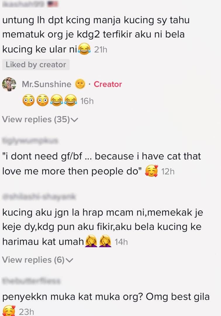 [VIDEO] “Sayang Abang Tak?” – Respon Manja Kucing Oyen Ini Buat Ramai Cemburu