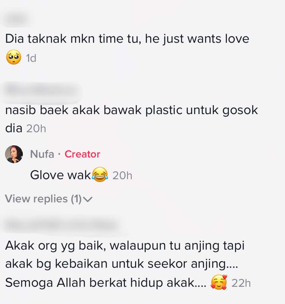 Anjing Terbiar Dibelai Manja, Sifat Mulia Gadis Dipuji – “Dia Percaya Awak”