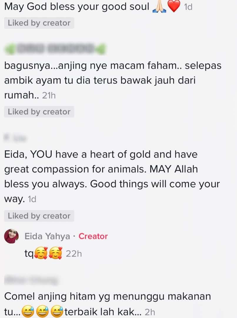 [VIDEO] Ekor Goyang Tanda Happy, Gadis Beri Seketul Ayam Untuk Setiap Anjing