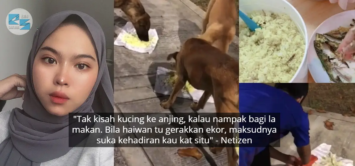 Lemah Sebab Tak Makan, Kebaikan Gadis Selamatkan Anjing Raih Pujian Ramai