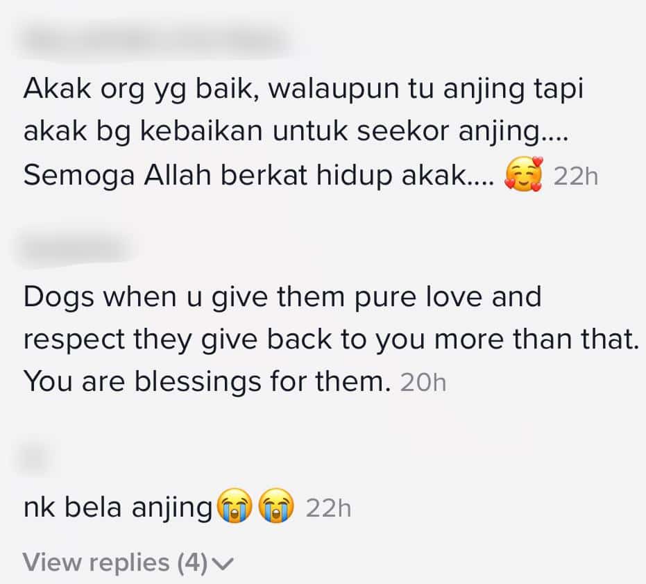 Anjing Terbiar Dibelai Manja, Sifat Mulia Gadis Dipuji – “Dia Percaya Awak”