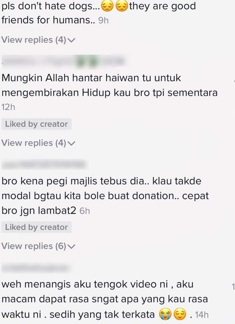 [VIDEO] Seronok Berlari-Lari Dengan Anjing Jalanan, Rupanya Pertemuan Terakhir