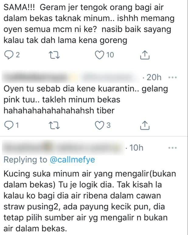 [VIDEO] Dah Bagi Bekas Air Bersih, Si Bulus Tetap Minum Dekat Lopak Air