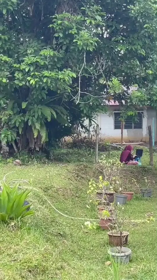 [VIDEO] Bersila Atas Rumput ‘Ditemani’ Ayam, Student Gigih Cari Line Internet