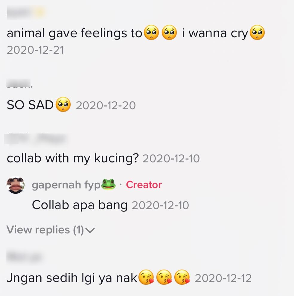 [VIDEO] Tuan Gosok Berus Gigi Di Kepala, Kucing Oyen Menangis Rindu Pada Ibu