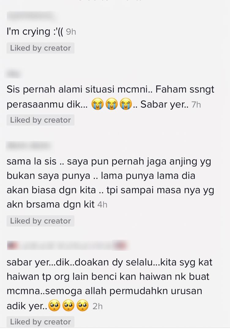 [VIDEO] Seronok Berlari-Lari Dengan Anjing Jalanan, Rupanya Pertemuan Terakhir