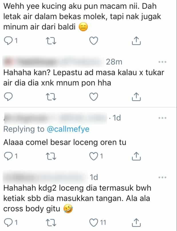 [VIDEO] Dah Bagi Bekas Air Bersih, Si Bulus Tetap Minum Dekat Lopak Air