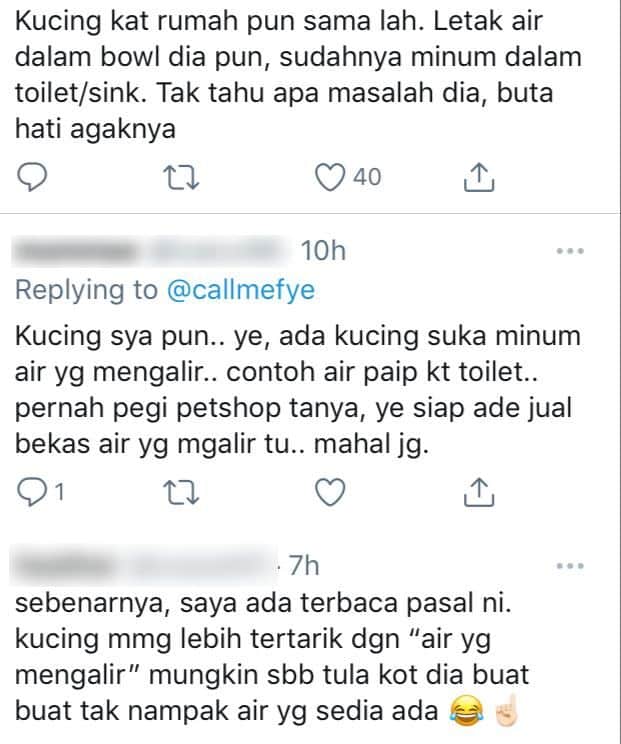 [VIDEO] Dah Bagi Bekas Air Bersih, Si Bulus Tetap Minum Dekat Lopak Air